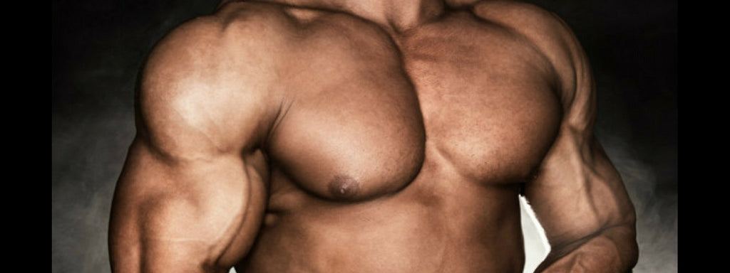 MAXIMIZE YOUR MASS-BUILDING POTENTIAL