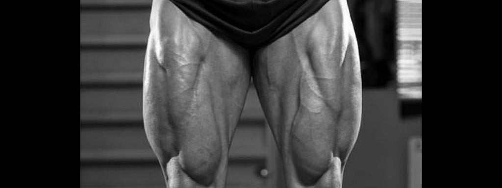 EXHAUST YOUR LEGS INTO BUILDING STRONG MUSCLES